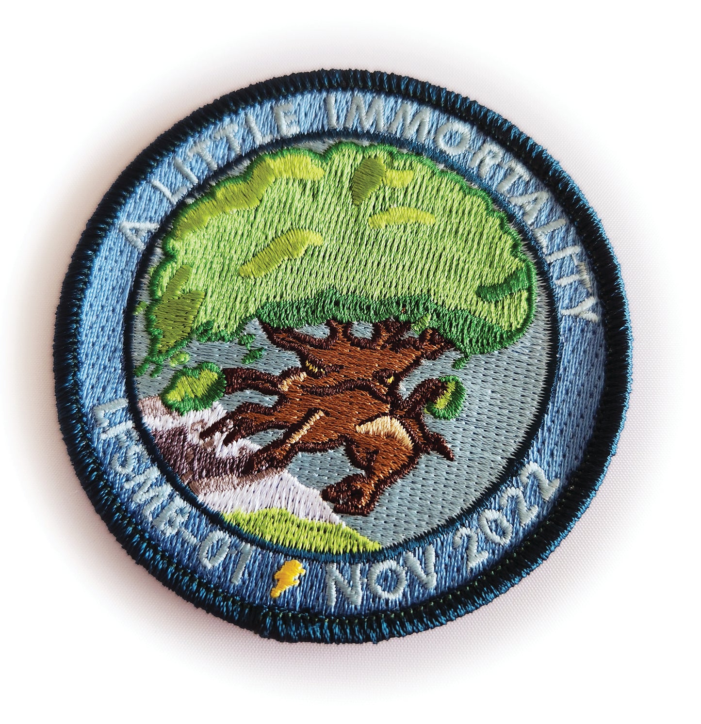 ALI Mission Patch